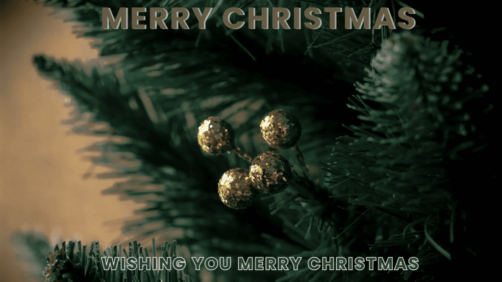 Merry Christmas