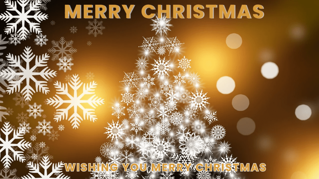 Christmas Wishes